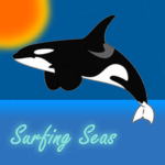 Surfing Seas