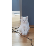 똥 먹방