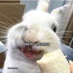 Robuxformeee101