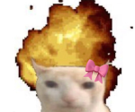 ER ER ER KING