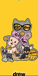 A group of pugs