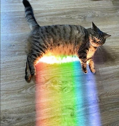 Nyan memz Roblox group icon