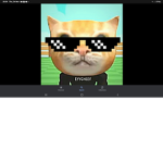 Stronk Cat EYYCHEEV