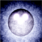CO:CORE