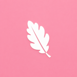 Blossom Primary
