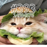 #393