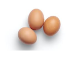 yummy.egg