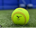 Softball fans :-)))