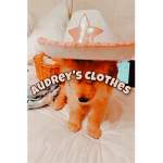 Audrey’s Clothes!
