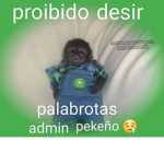 mxpoodx