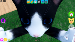 cat lovers groupp2