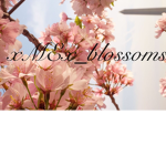 xMEx_blossoms