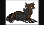 cute cat <3