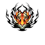 Tigers For Ever