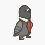 Pigeons of RBX