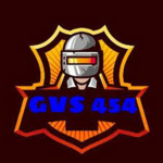 GVS 454