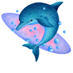 Love Dolphin's!
