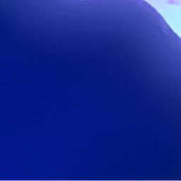 𝘏𝘦𝘢𝘳𝘵𝘴