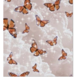butterfly cloud