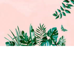 Vibe Aesthetically with Rene