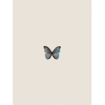 ßeautiful ßutterflies