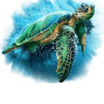 The Turtle Loving Hangout