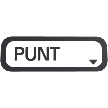 Punt Text Box Filter