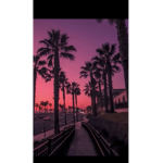 b a l l e r s_c l u b