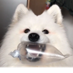 eyfgusfygefisegfisefhsihfue