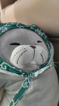 Mr.Meow Rules! [ The Club ]