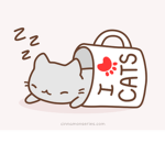 kitty cat loves!!!!!!!