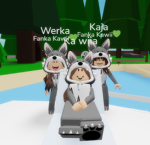Widzowie Wilki Kawii