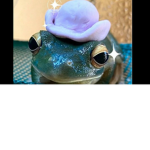 ..froggy