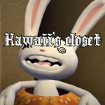 Hawaii’s closet