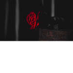 Reds Aesthetic Clothing.