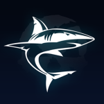 [T5] Shark