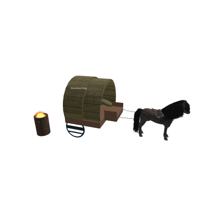 Homeless Carraige