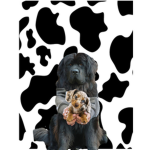 So cute dog