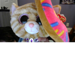 CandyKitten Fans!