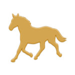 «Equestrian Order»