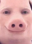 c a c a