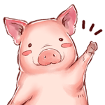 얌호박