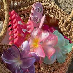 ‧˚⊹ 🌺 ‧ ｡˚