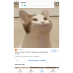 Suspicious cat army