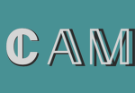 CAM's (Makayla, Amina, and Chikanyima)