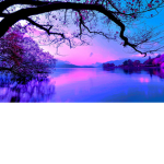 Cute ####### and #######