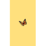 Butterfly_ Club