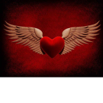 Heart Warrior