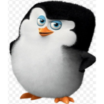Penguini nation