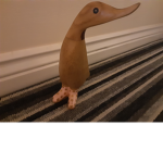 Duck xx